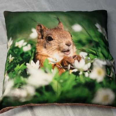 ORAVA JA VALKOVUOKOT, koristetyynynpäällinen