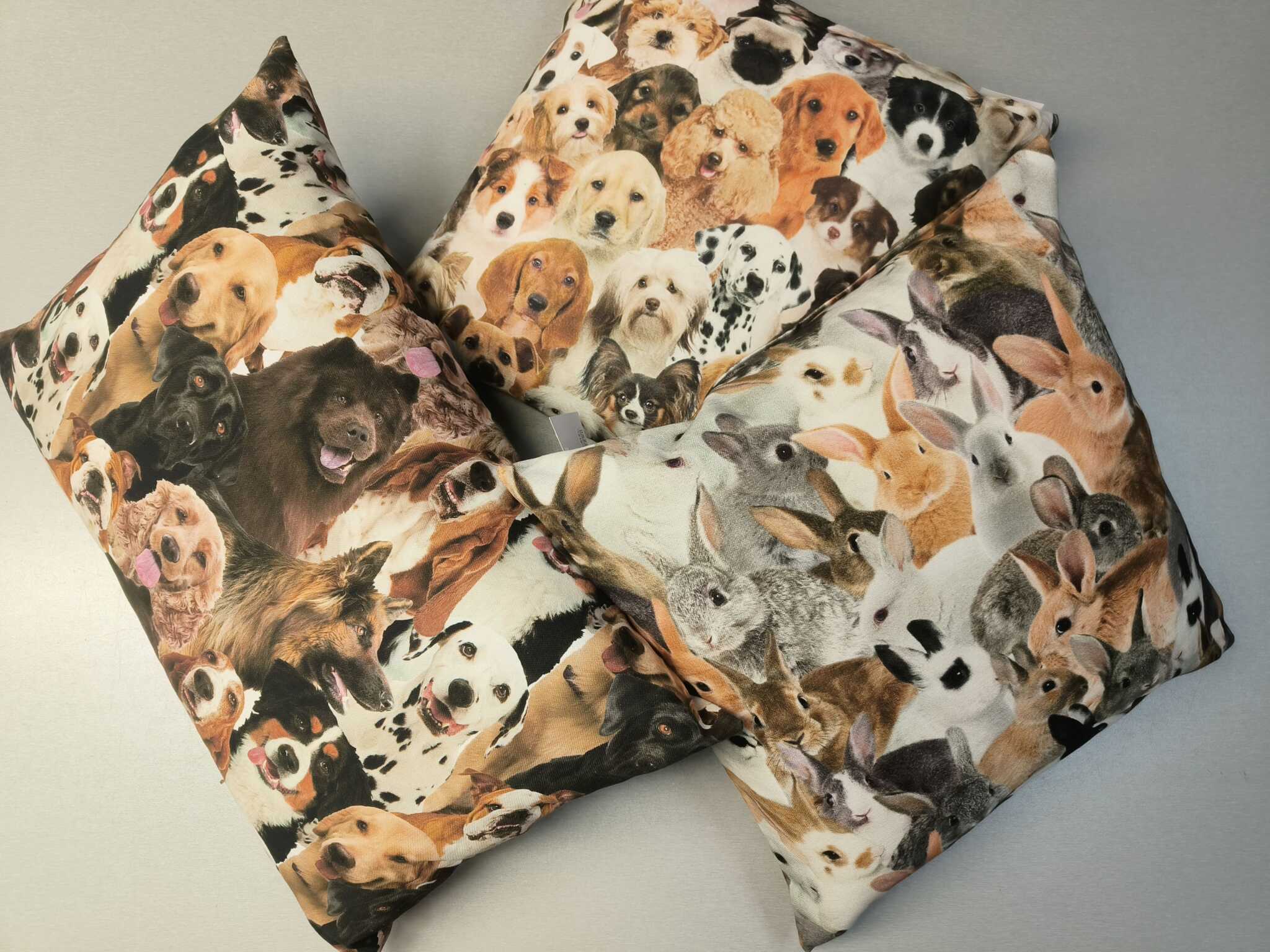 koiratyyny, kanityyny