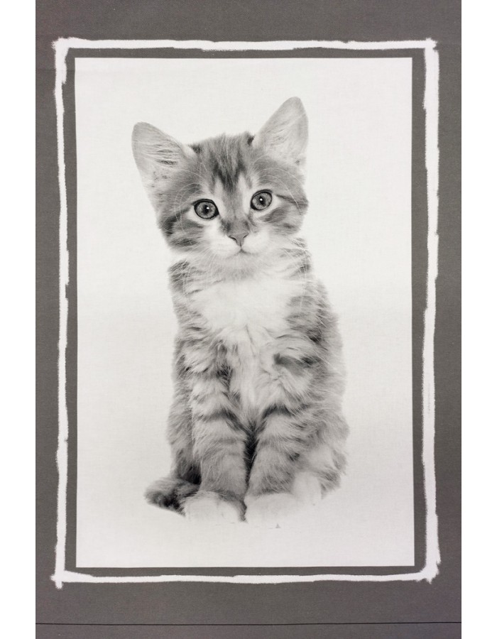 KISSANPENNUT, kangaspala - Image 3