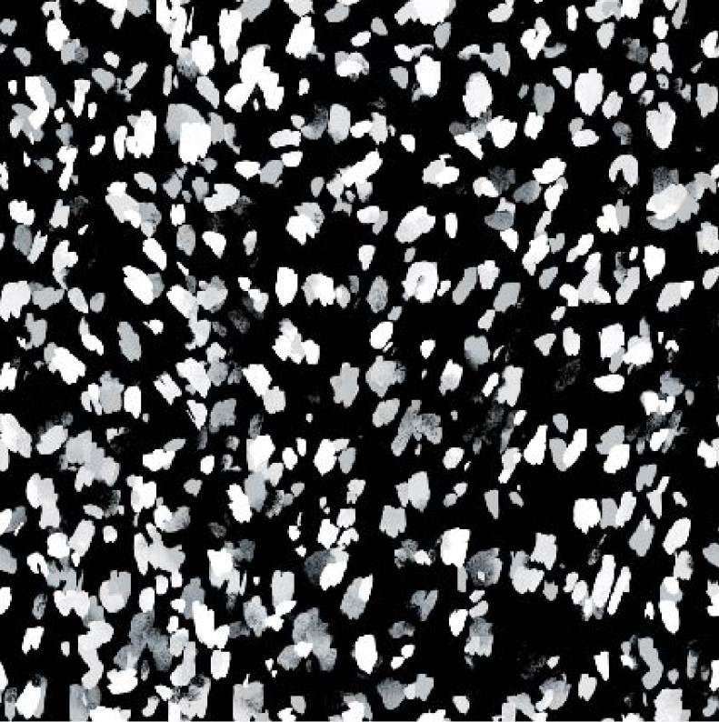 TERRAZZO, puuvillaelastaanitrikoo - Image 4